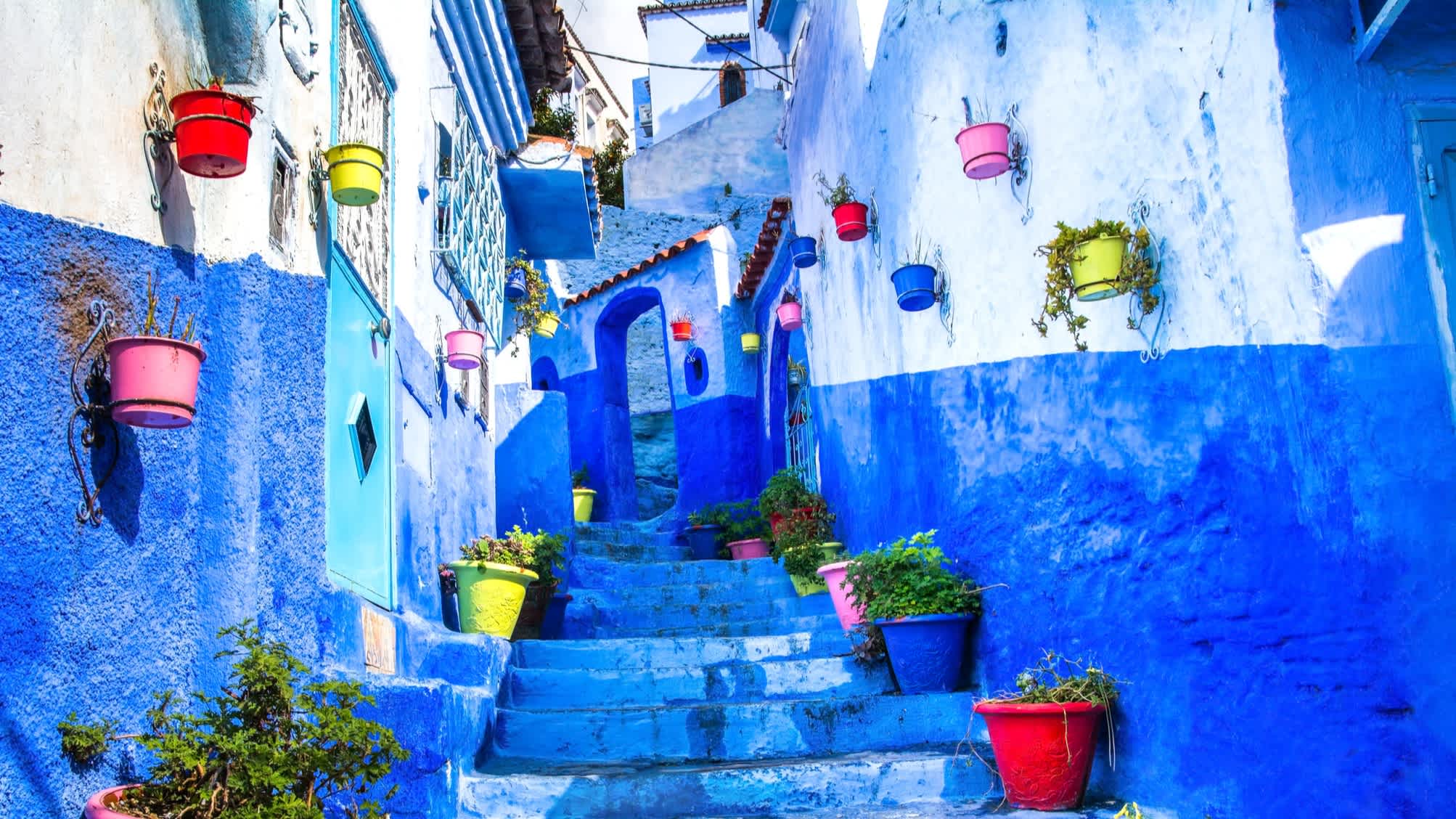 Blue stairs and walls with colorful flower pots, Chefchaouen, Morocco