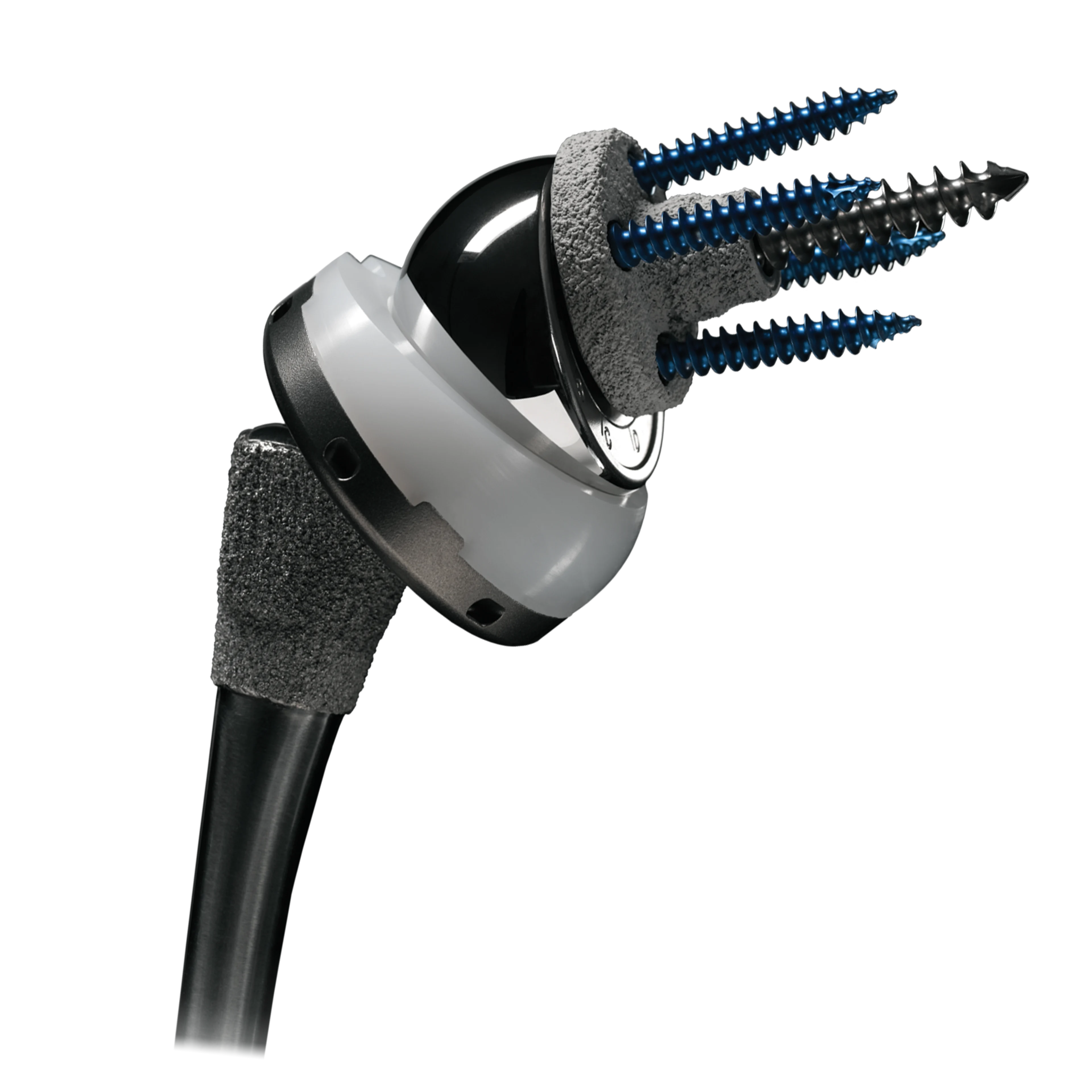 Comprehensive Reverse | Main Product Image