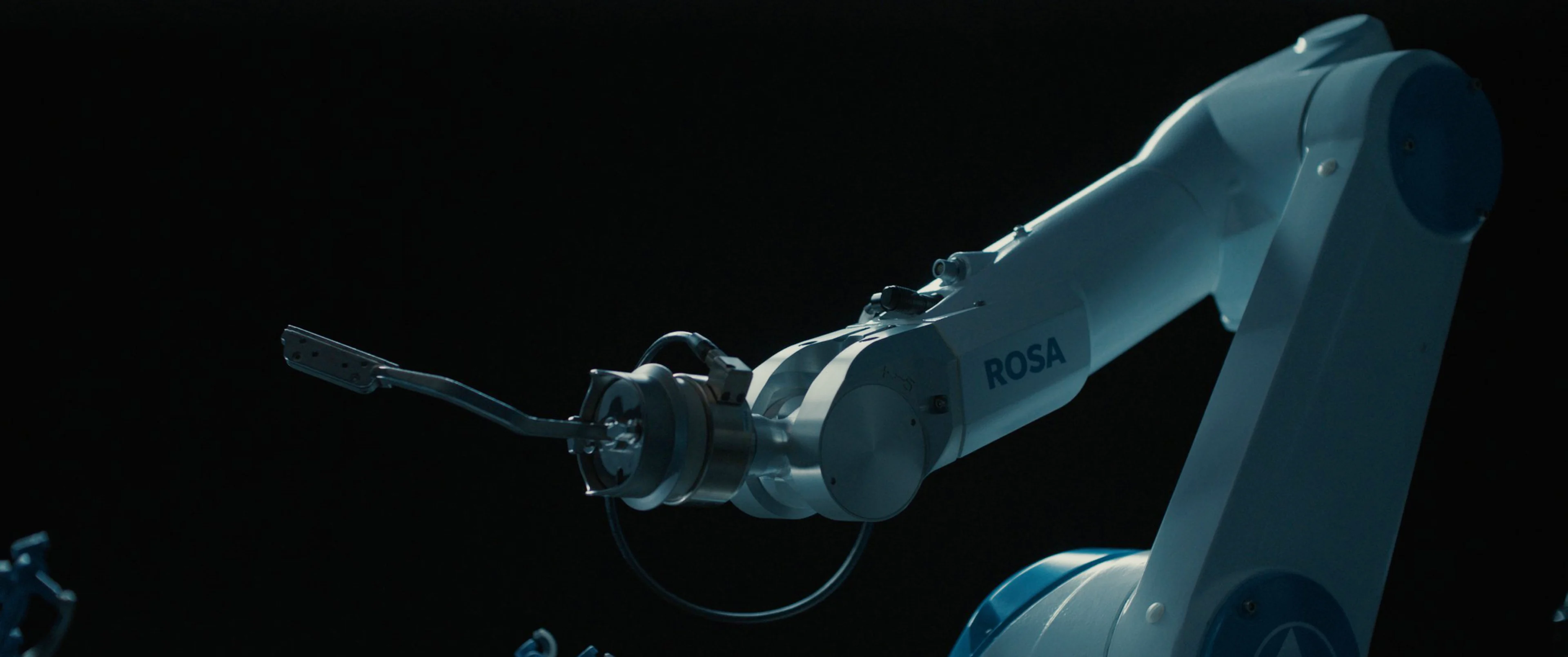 Rosa Robot