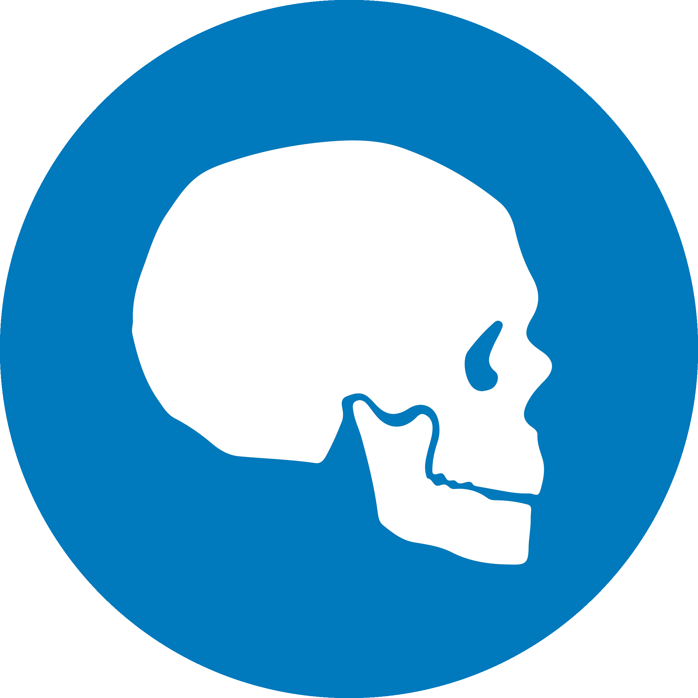 CMFT - Skull | Segment Image