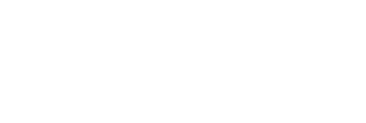 Insights in Motion Logo 