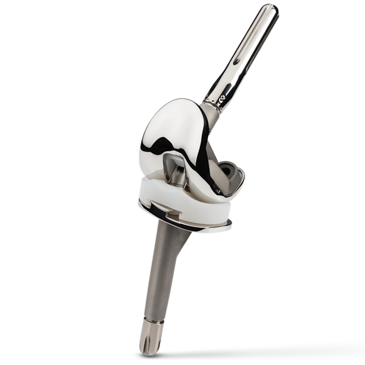 Revision and Limb Salvage solutions Zimmer Biomet