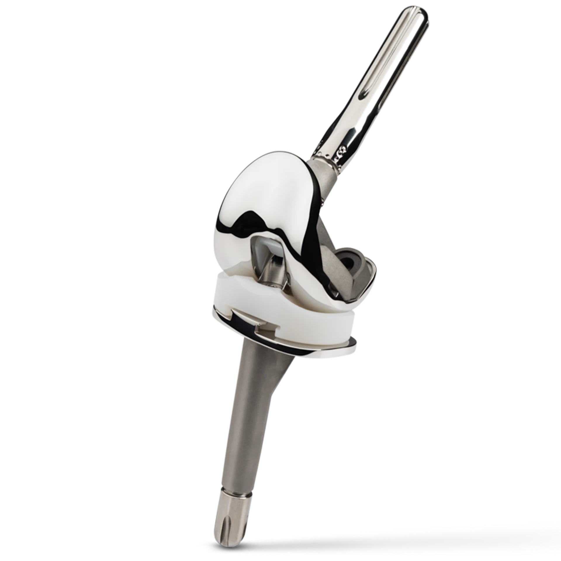 Revision and Limb Salvage solutions Zimmer Biomet