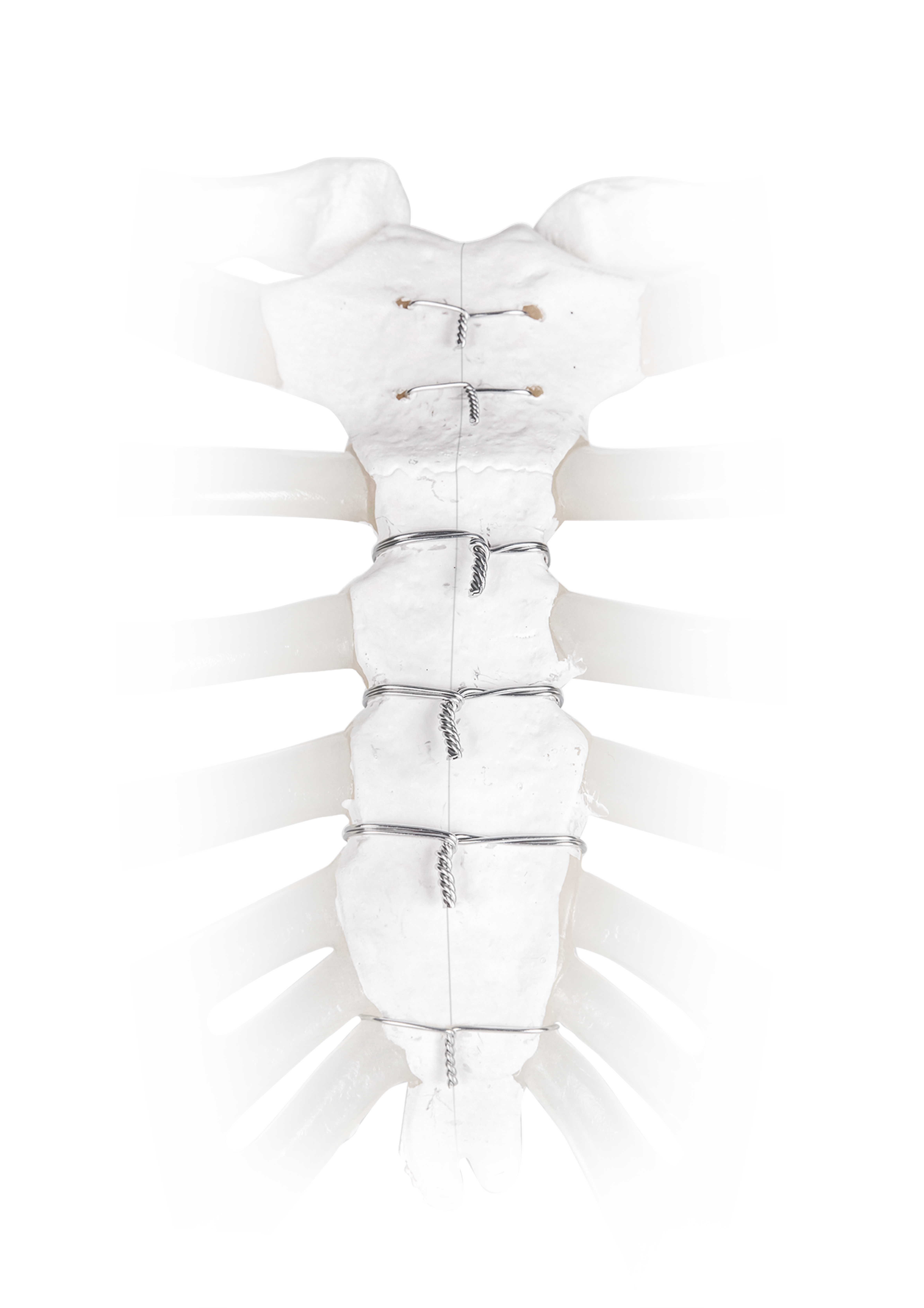 Wire and Cable Closure | Main Image