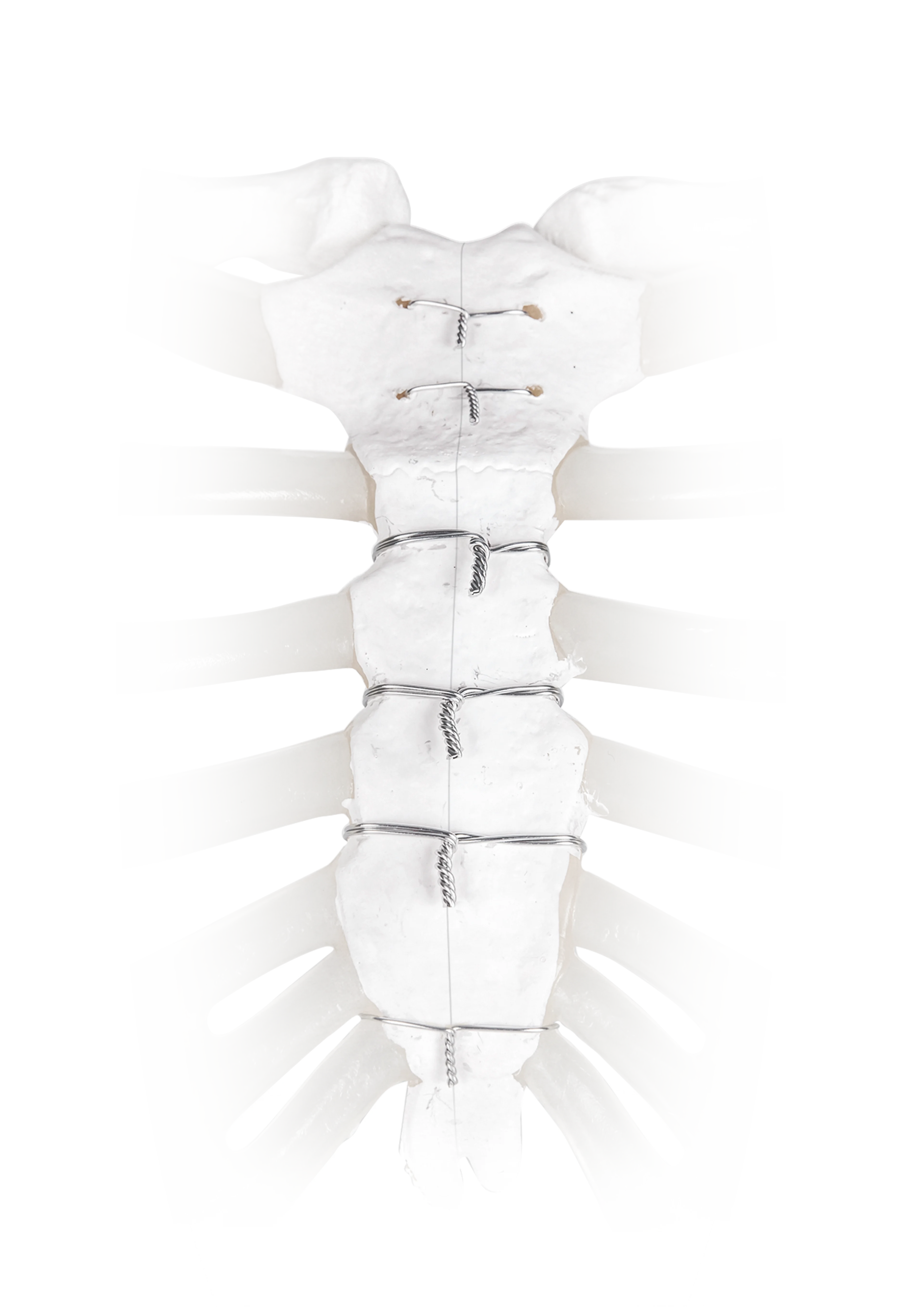 Wire and Cable Closure | Main Image
