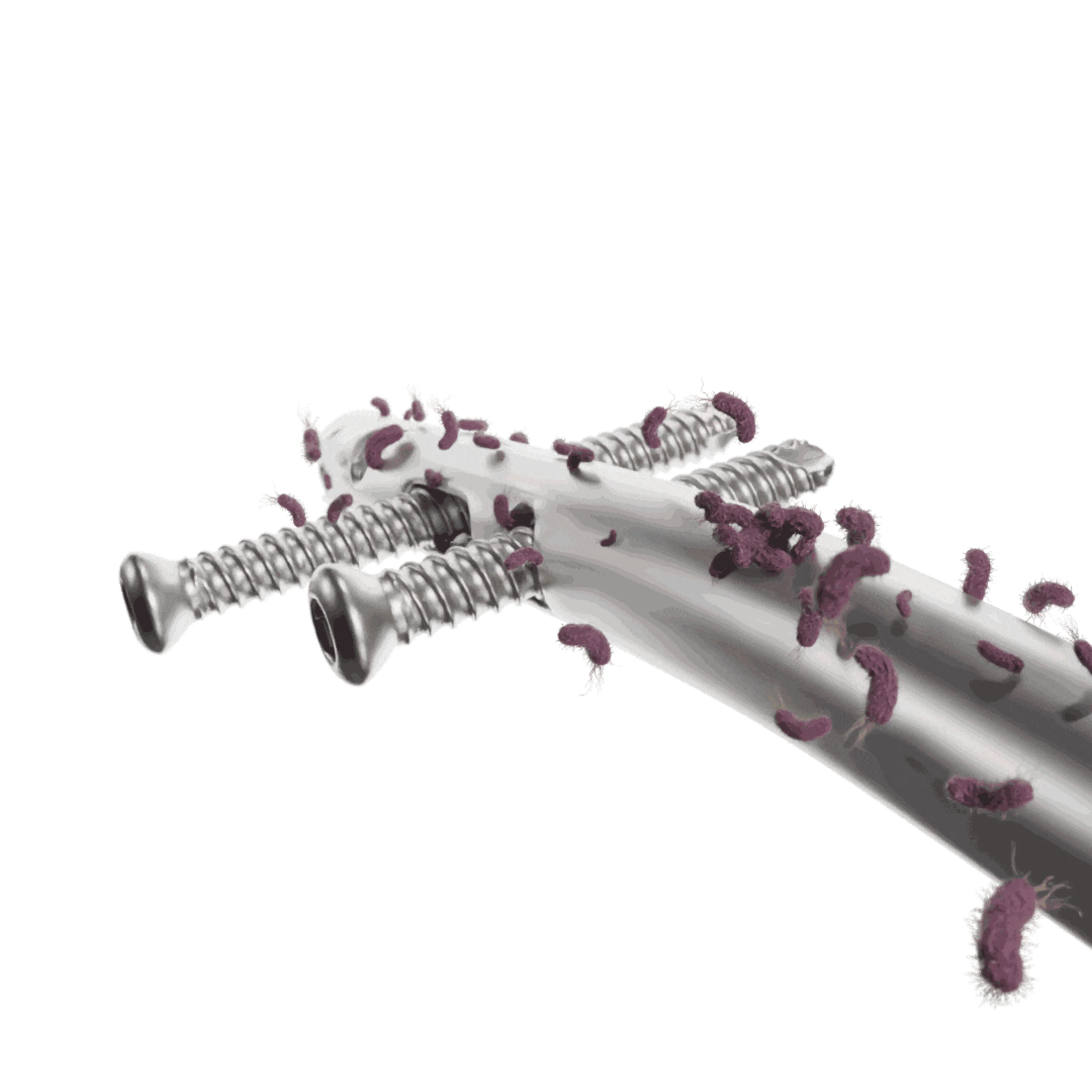 Why Bactiguard Campaign | Way Finder Image