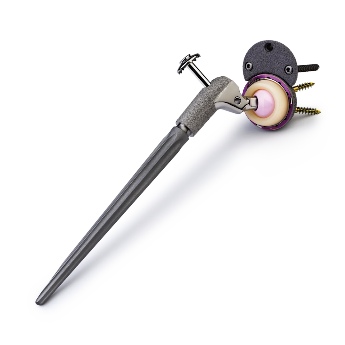 Hip Solutions | Zimmer Biomet