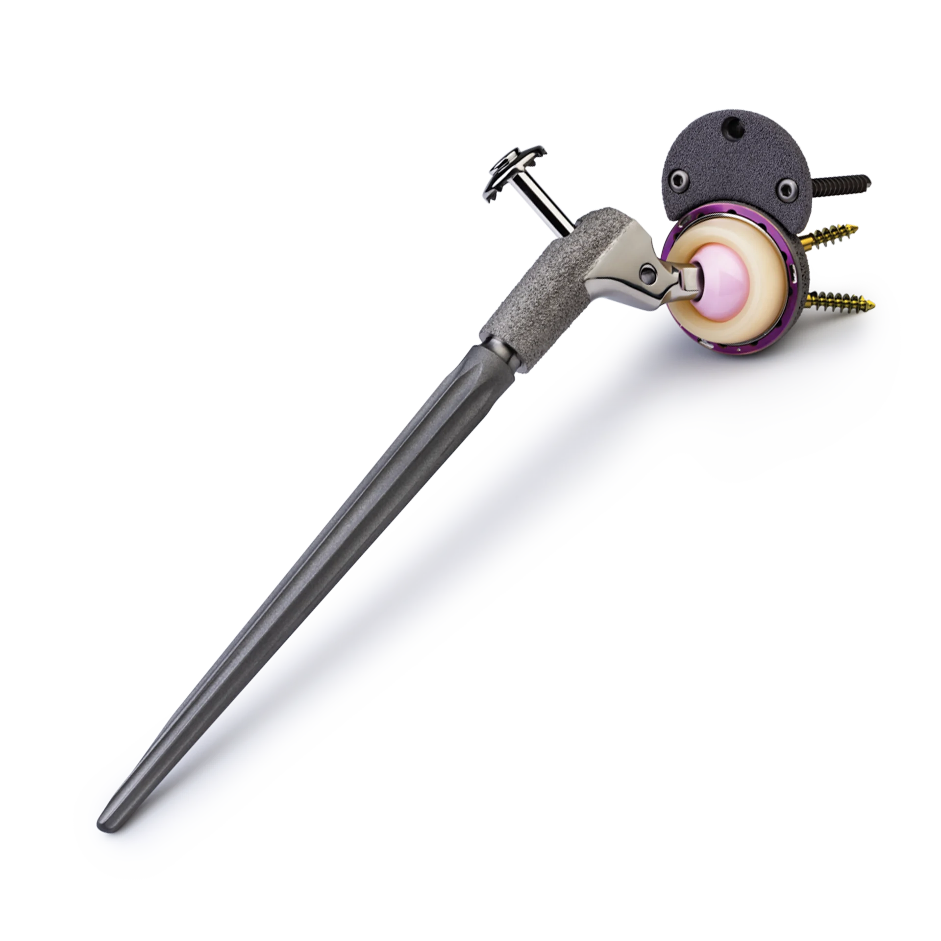 Hip Solutions | Zimmer Biomet