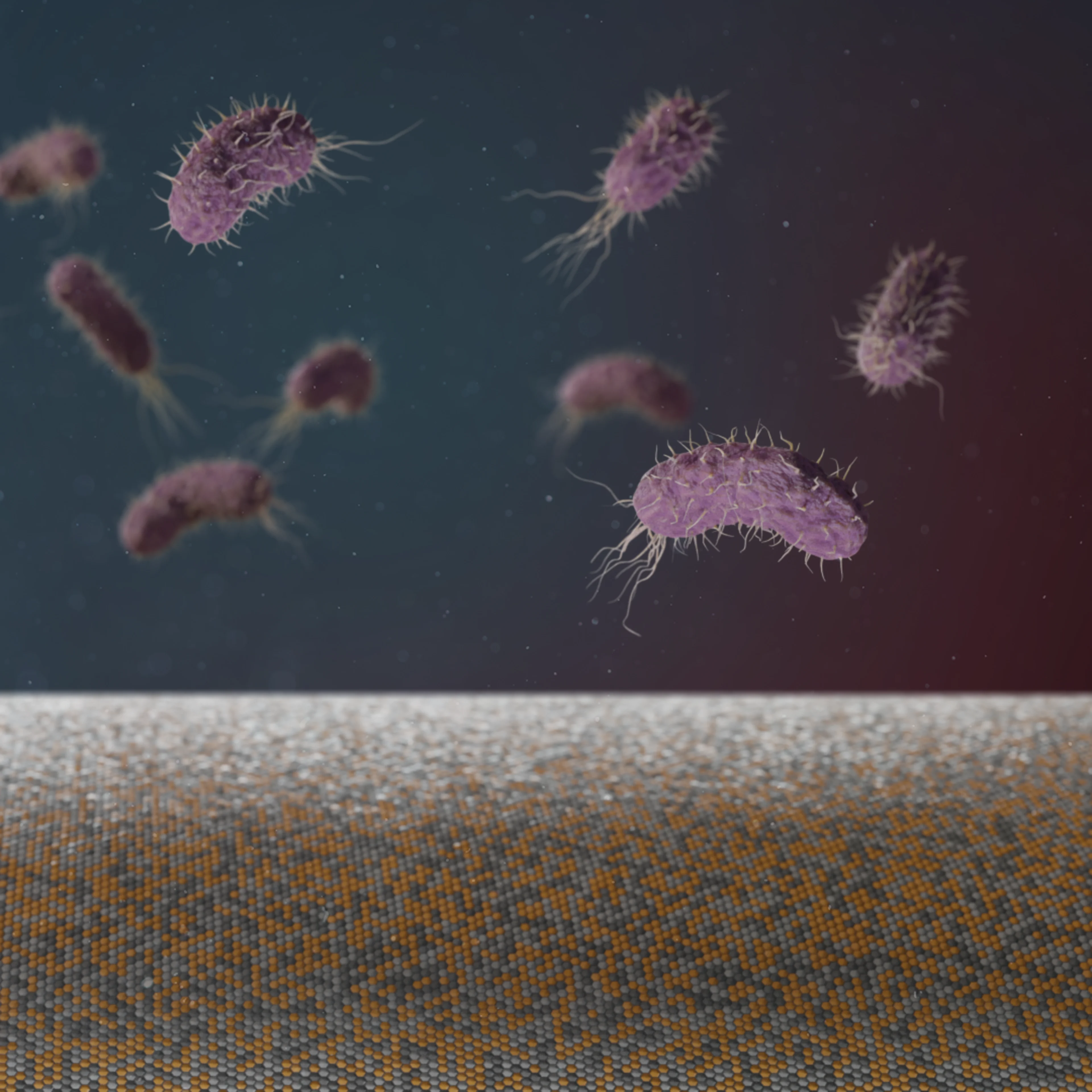 Bactiguard Technology Campaign Page | Way Finder Image