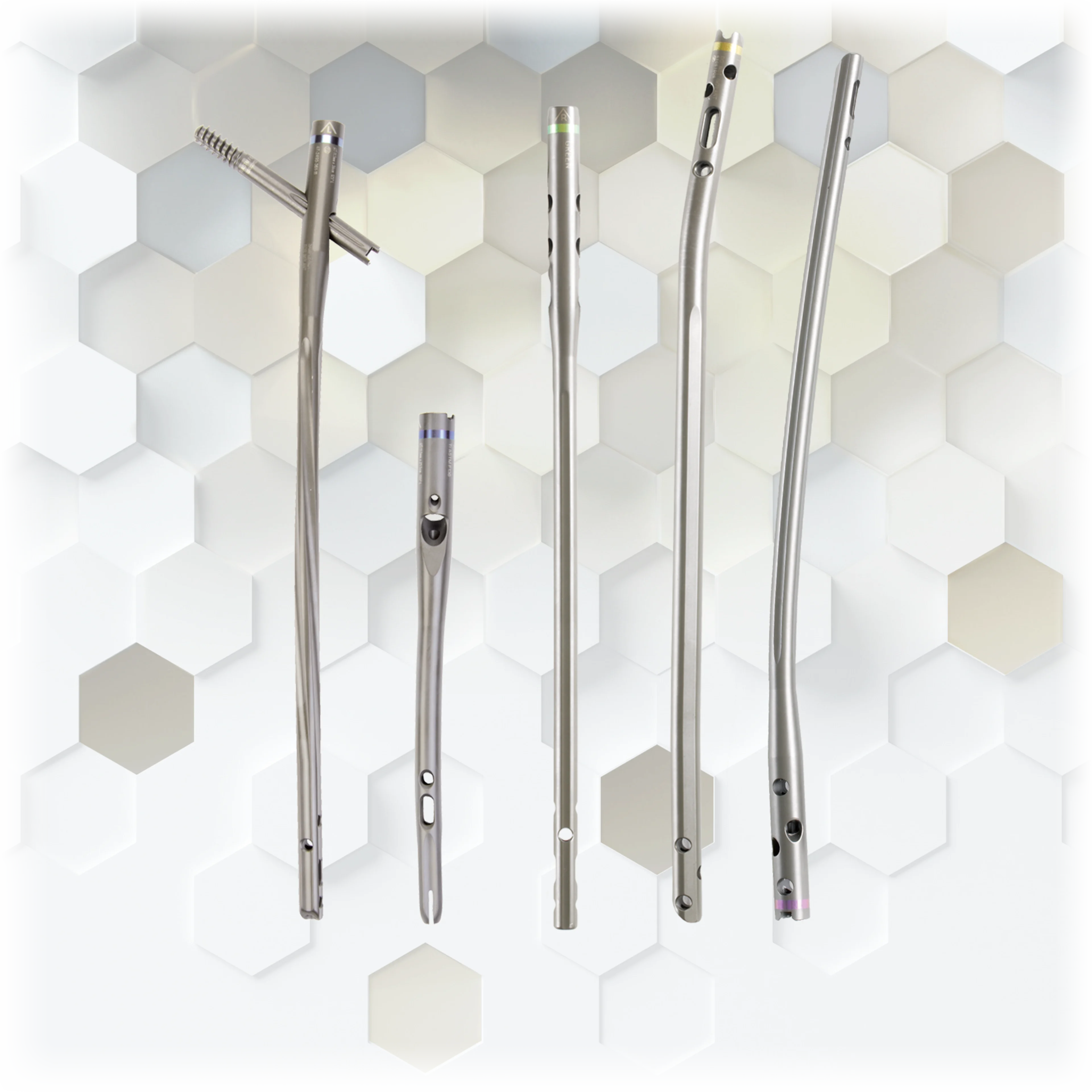 ZNN Bactiguard | Main Product Image