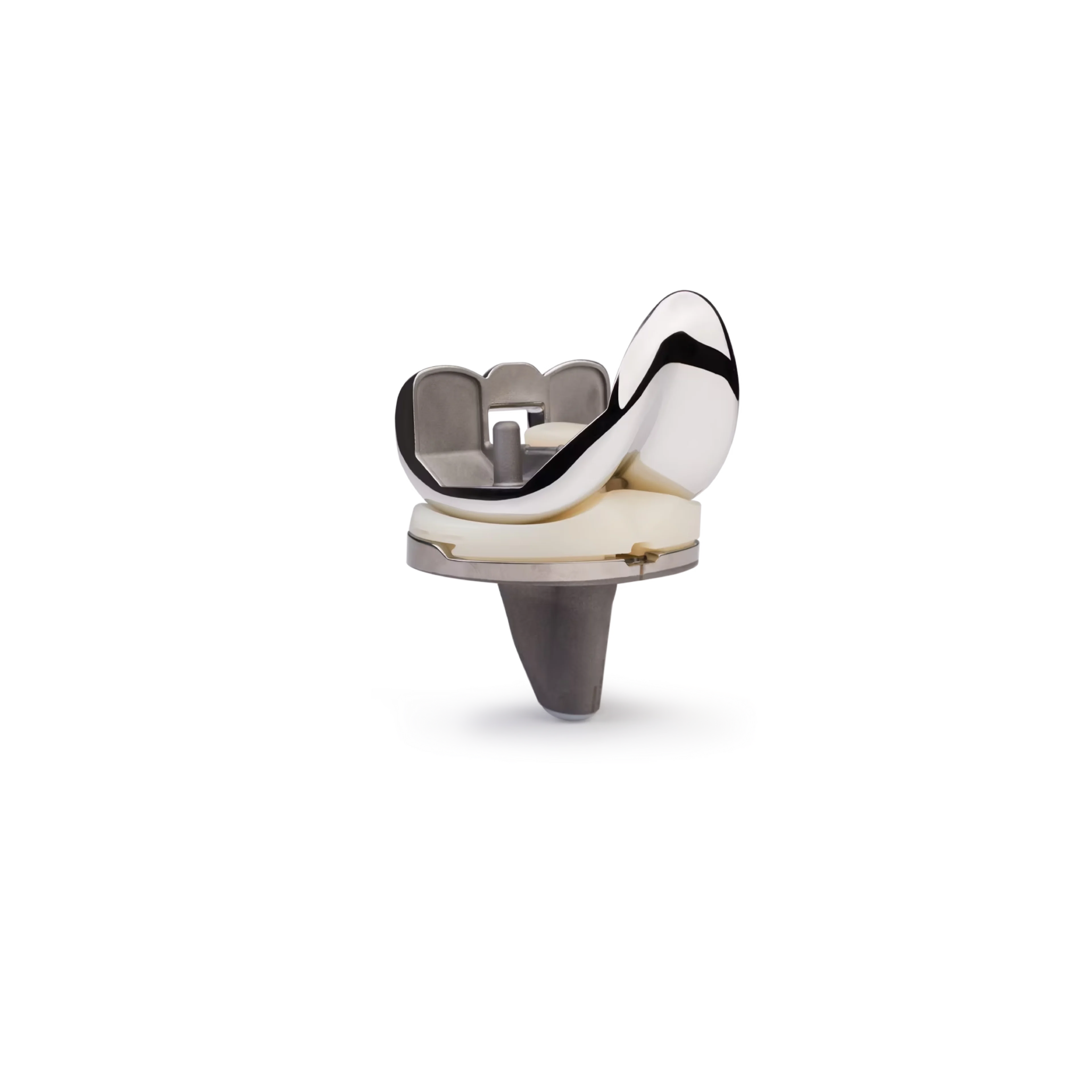 zbedge knee