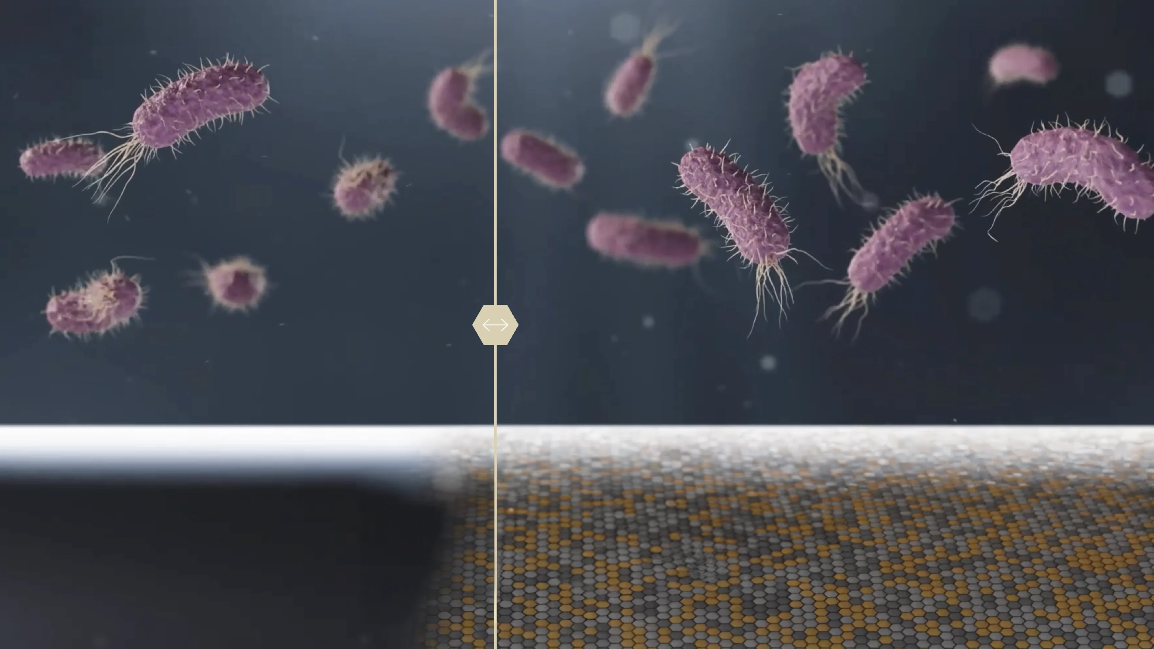 Bactiguard USP | Image