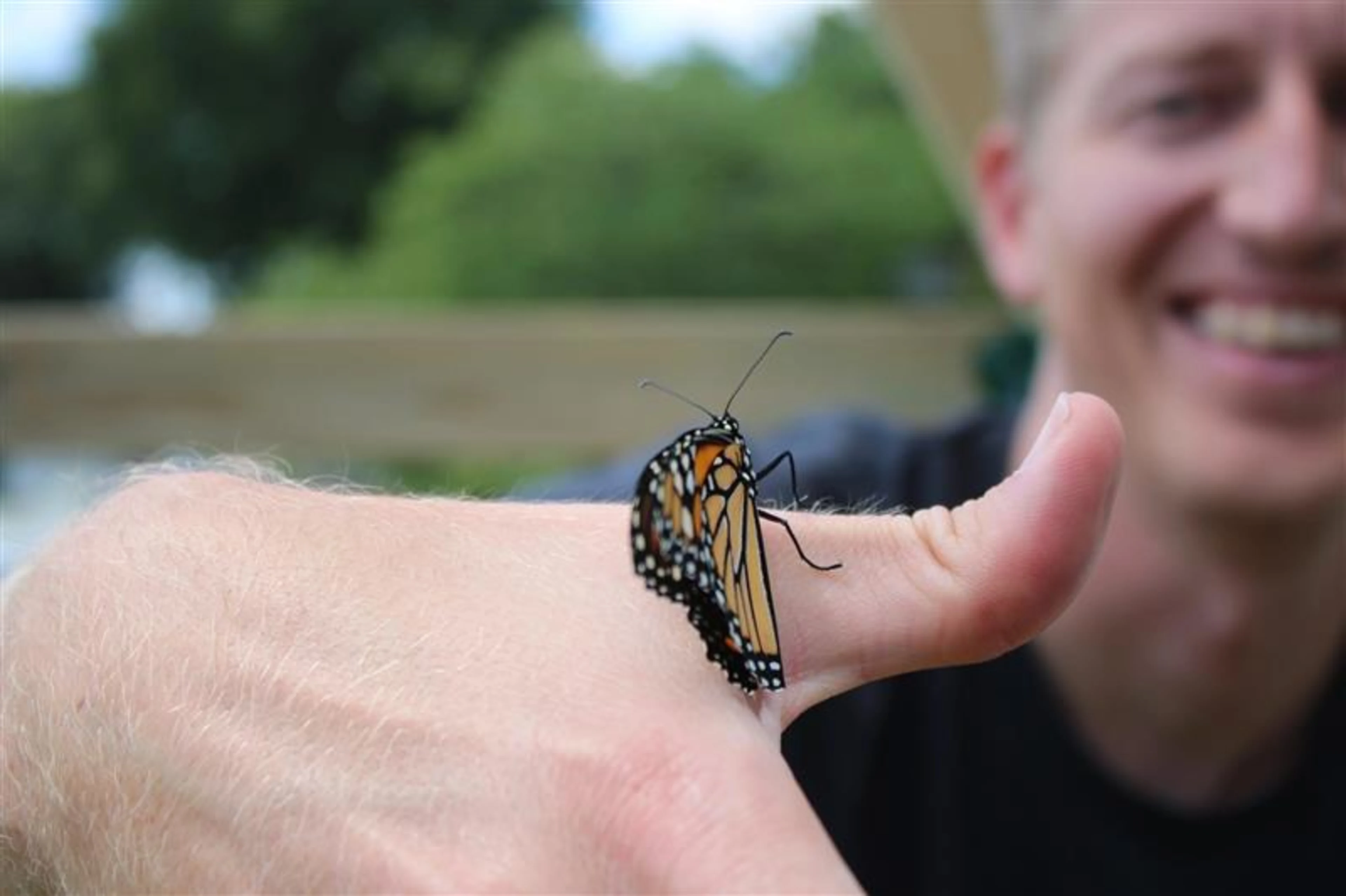 Native Plant Advocate and Monarch Defender