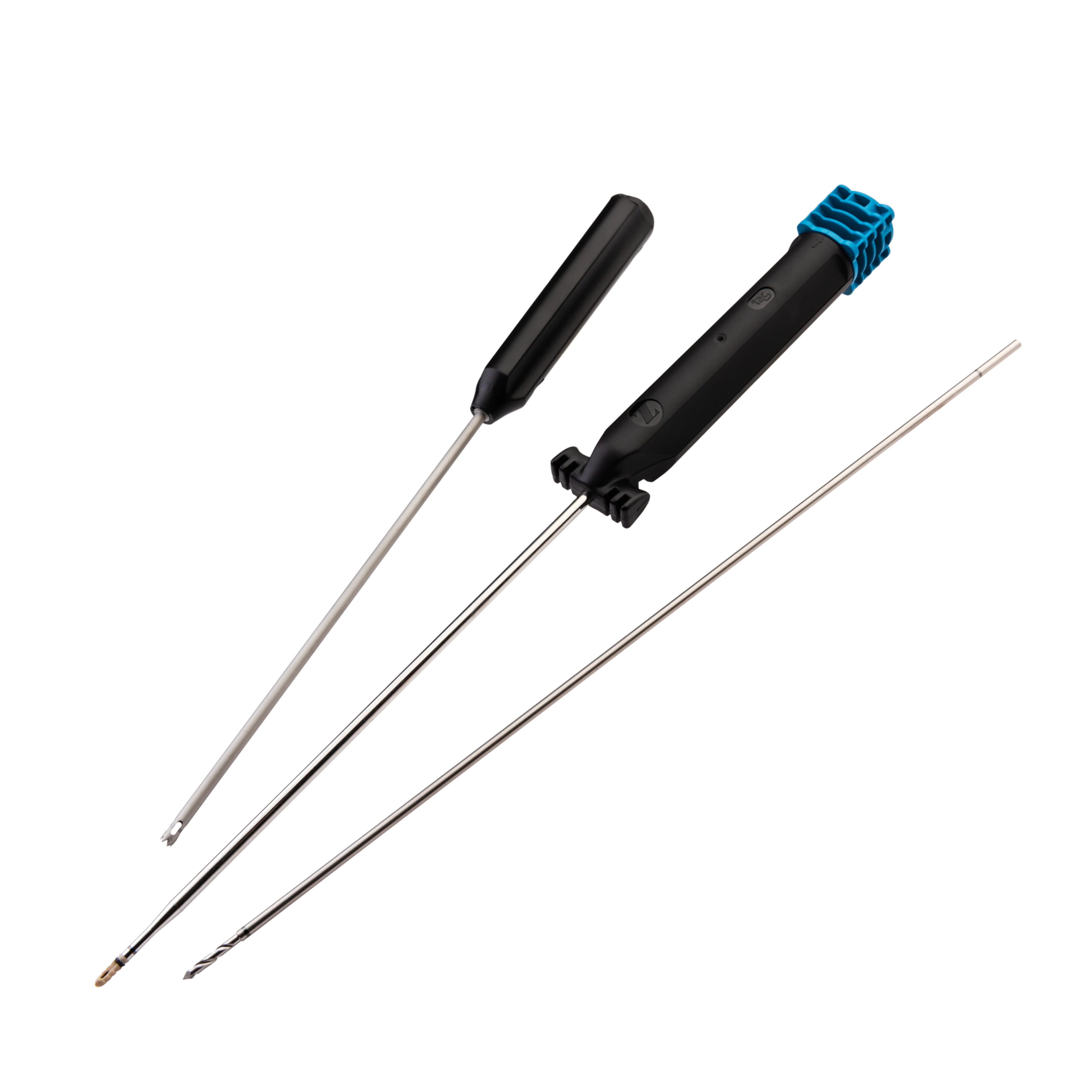 Betta Link | Main Image