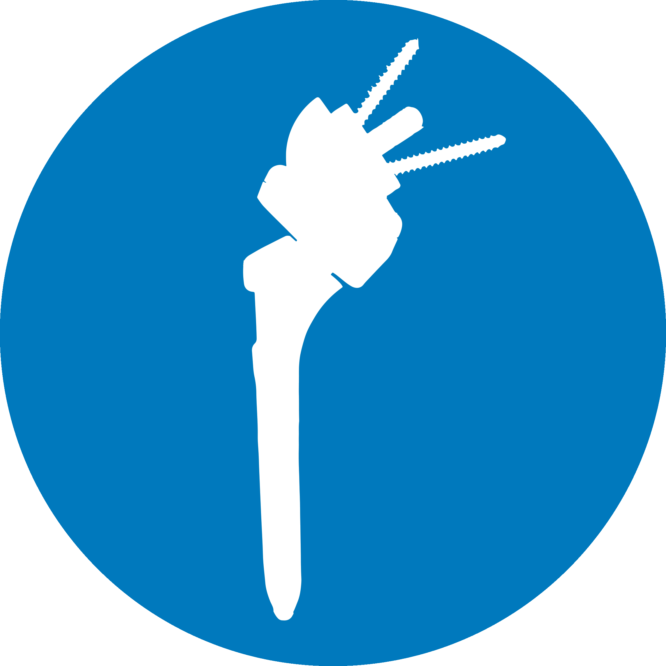 Extremities | Segment Image