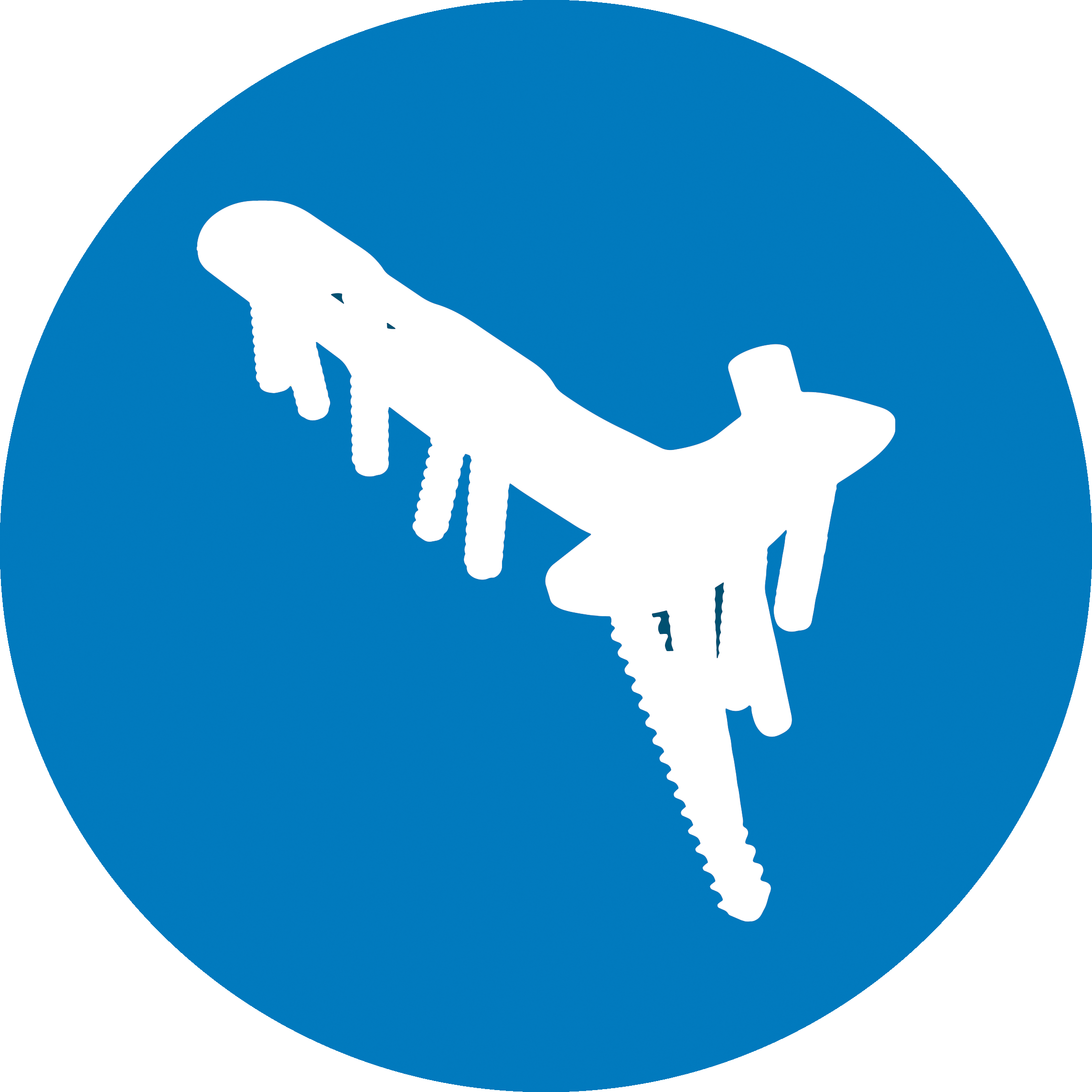 Trauma | Segment Image