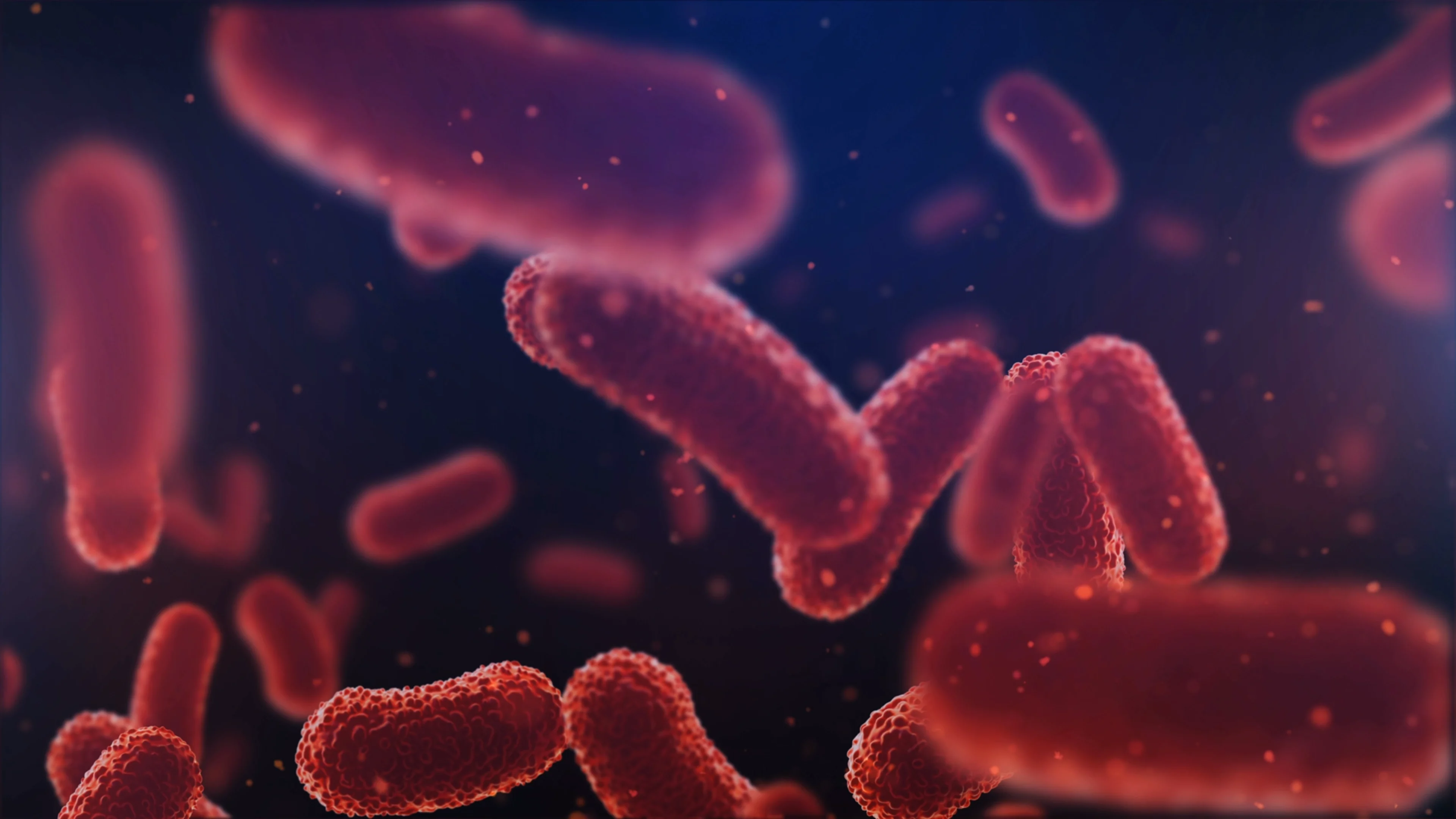 Bactiguard Campaign | CTA Image