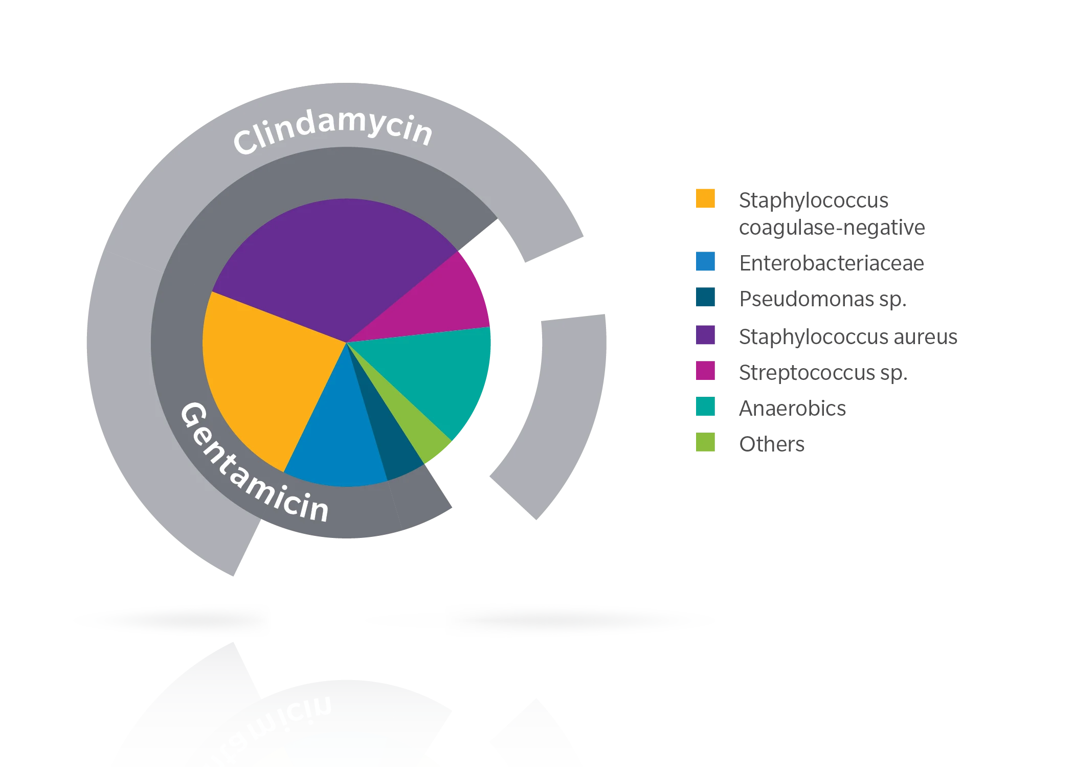 Coverage Gentamicin and Clindamycin