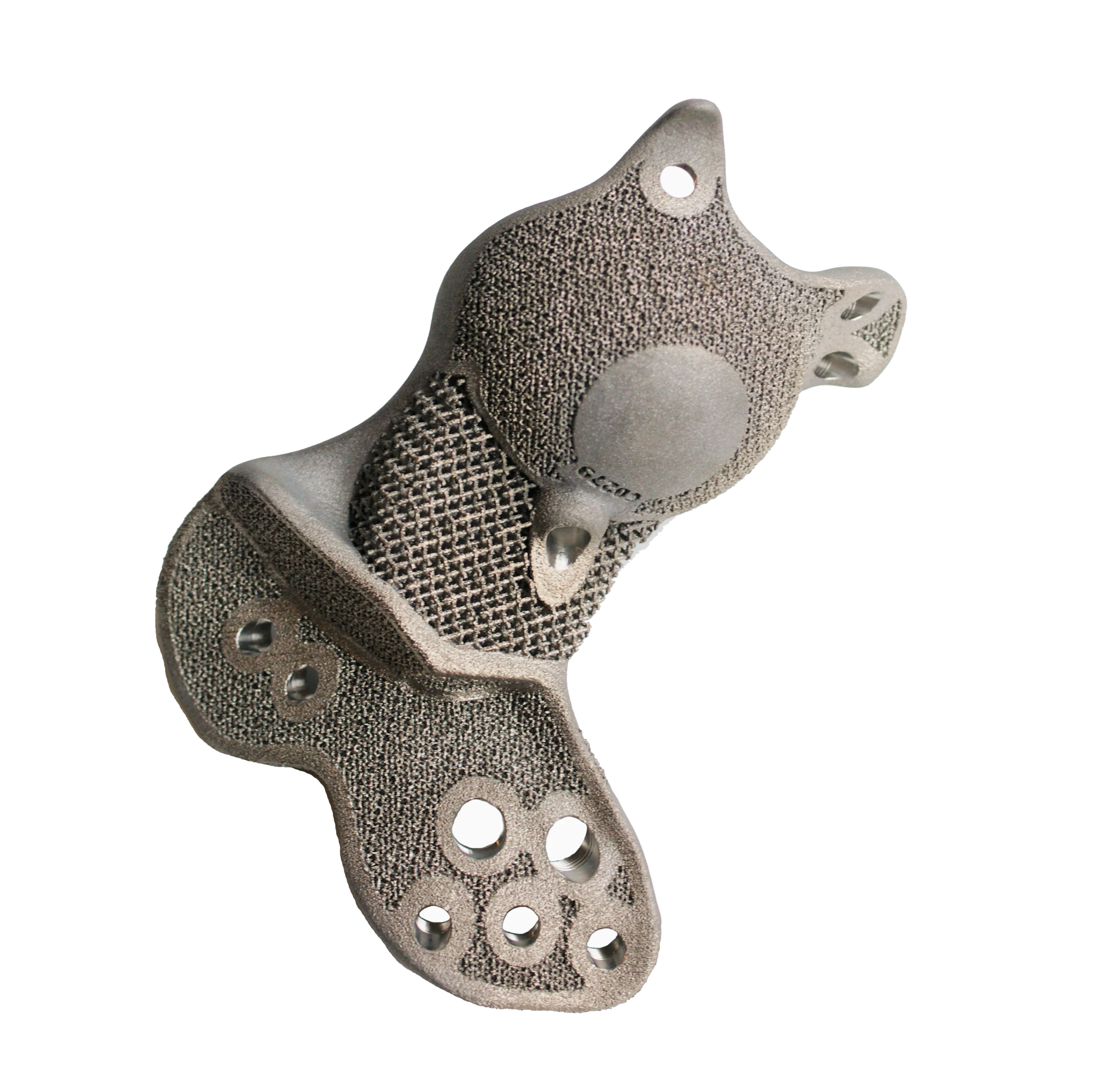 OSSIS Hip Campaign | Hemi Pelvis Implant Image