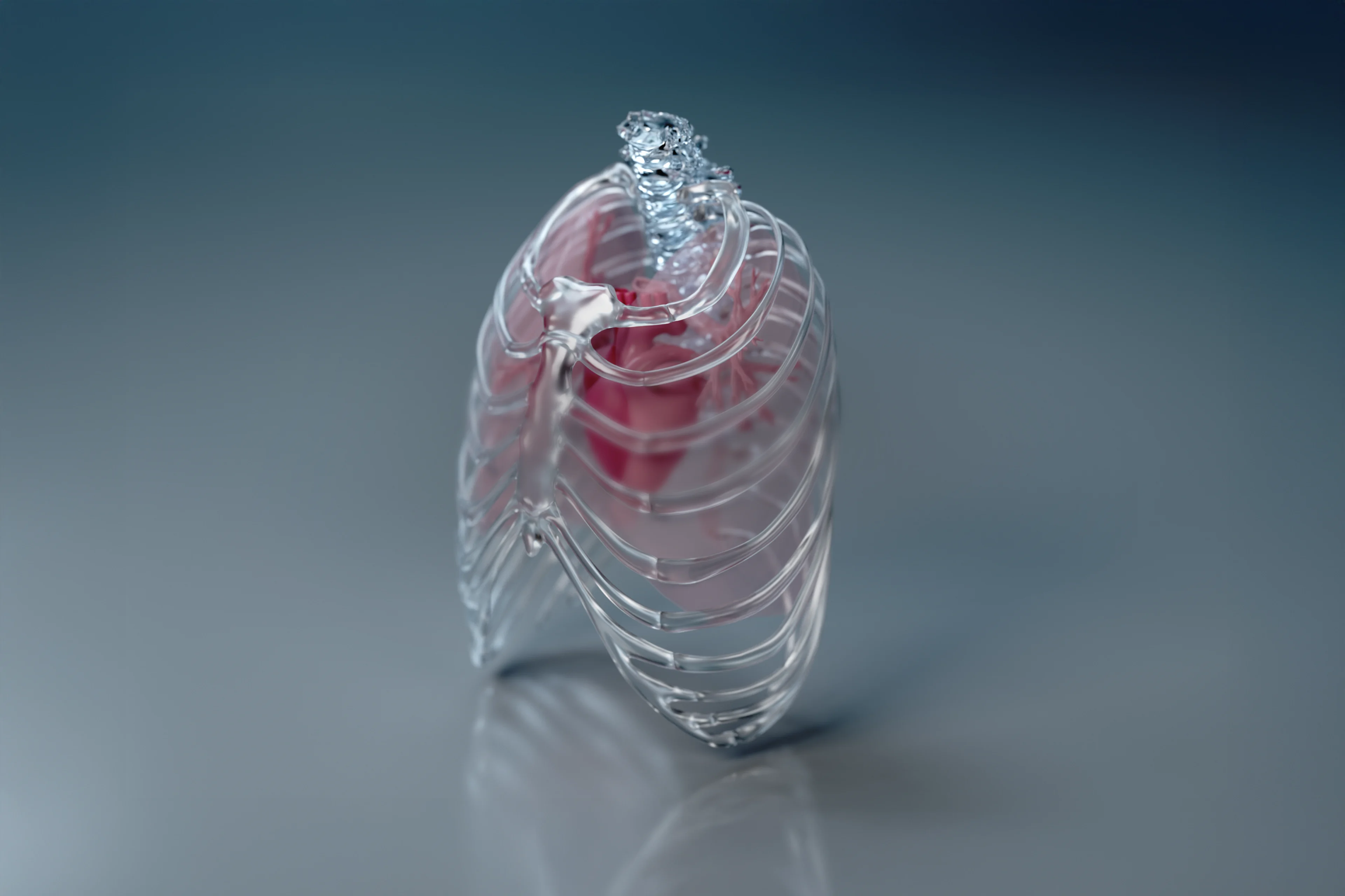 Cardiac and Thoracic campaign page | Main image