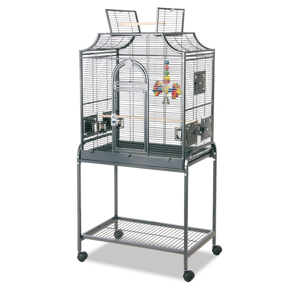 Cage Pour Oiseaux Zooplusbe