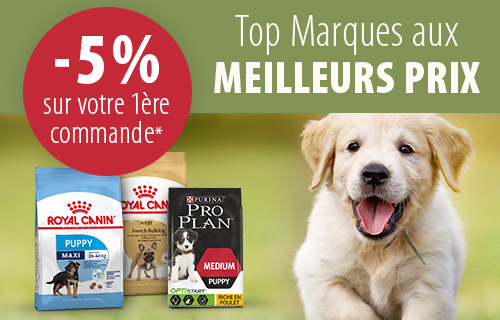 Nourriture Et Accessoires Pour Chien Zooplusbe