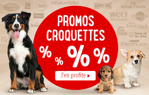 Croquettes Pour Chien à Petit Prix Zooplusbe