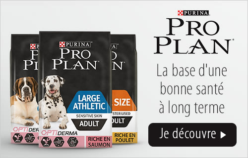 Pro Plan Large Choix à Petit Prix Sur Zooplusbe -