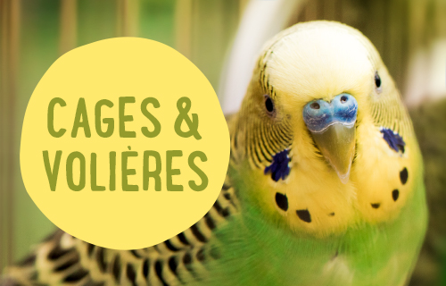 Nourriture Et Accessoires Pour Oiseau Zooplusbe - 
