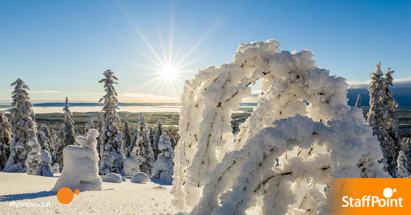 kevät lappi