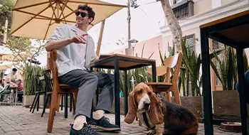 Hush Puppies