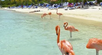 Costamar Travel