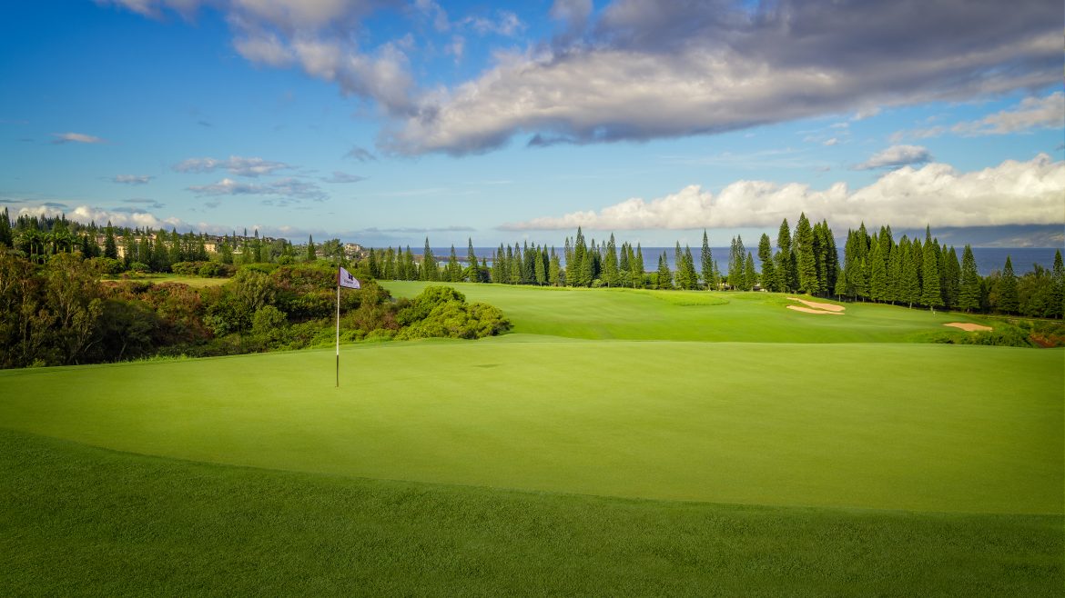 Team Troon | Troon