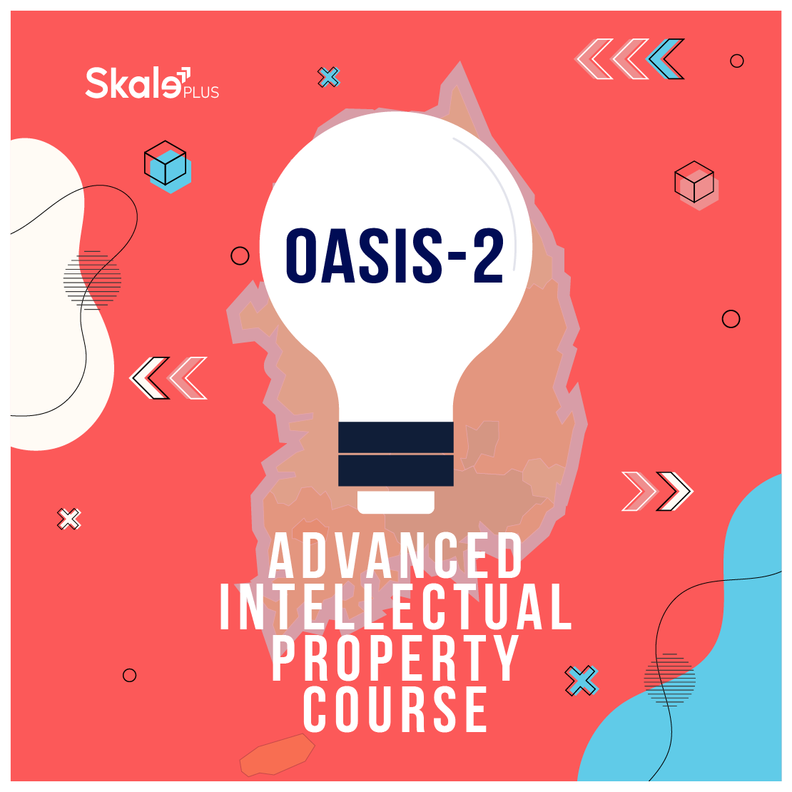 OASIS 2 Advanced Intellectual Property Course