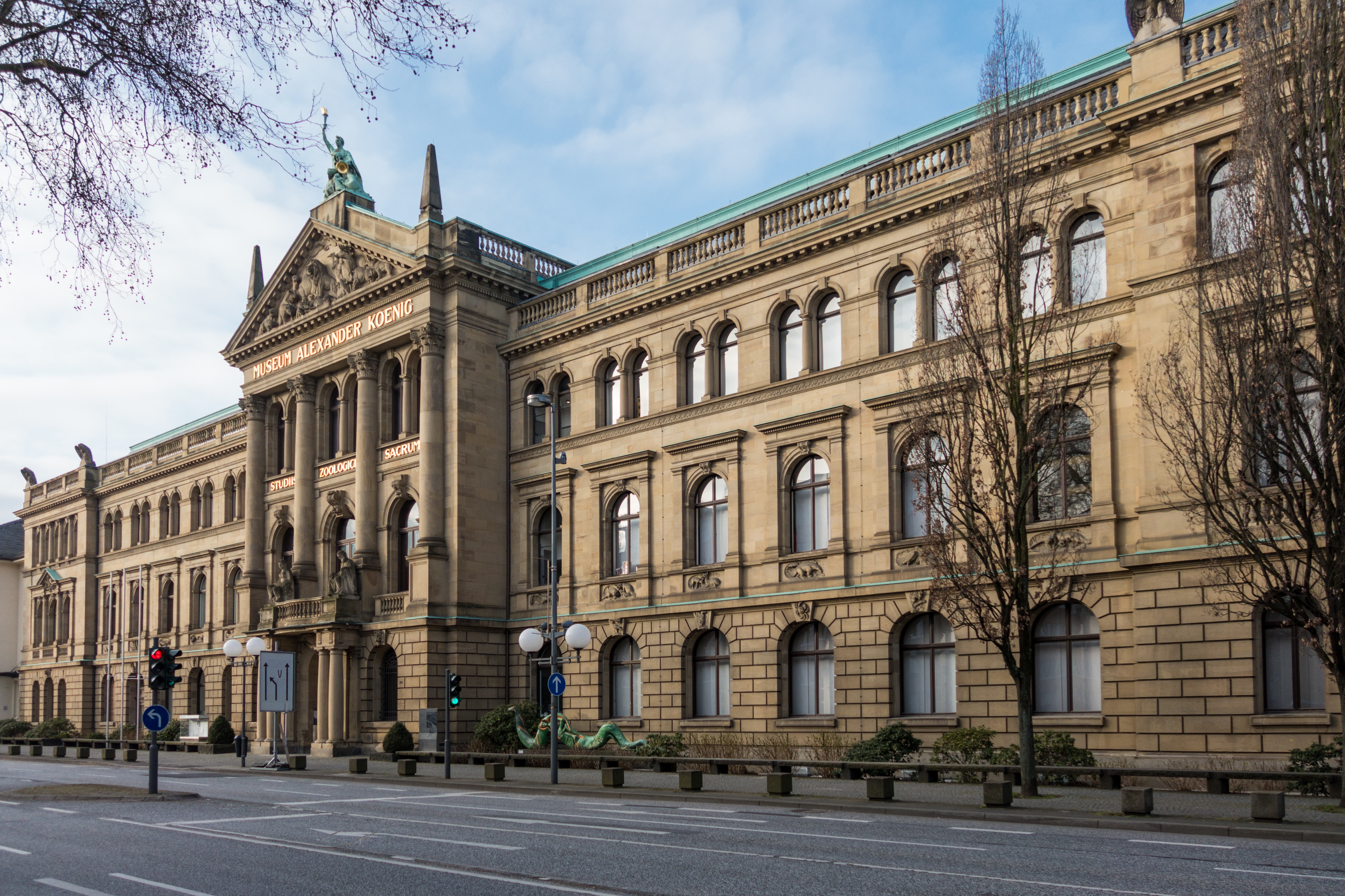 Bonn - Zoologisches Museum