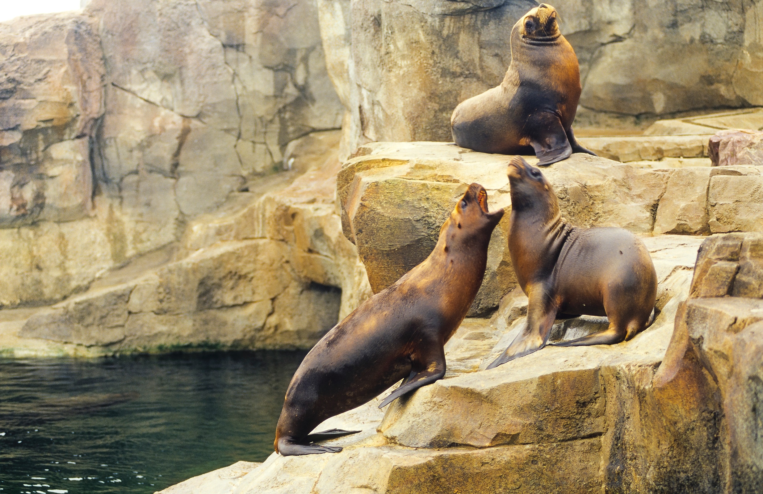 Bremerhaven - Tiere im Zoo am Meer