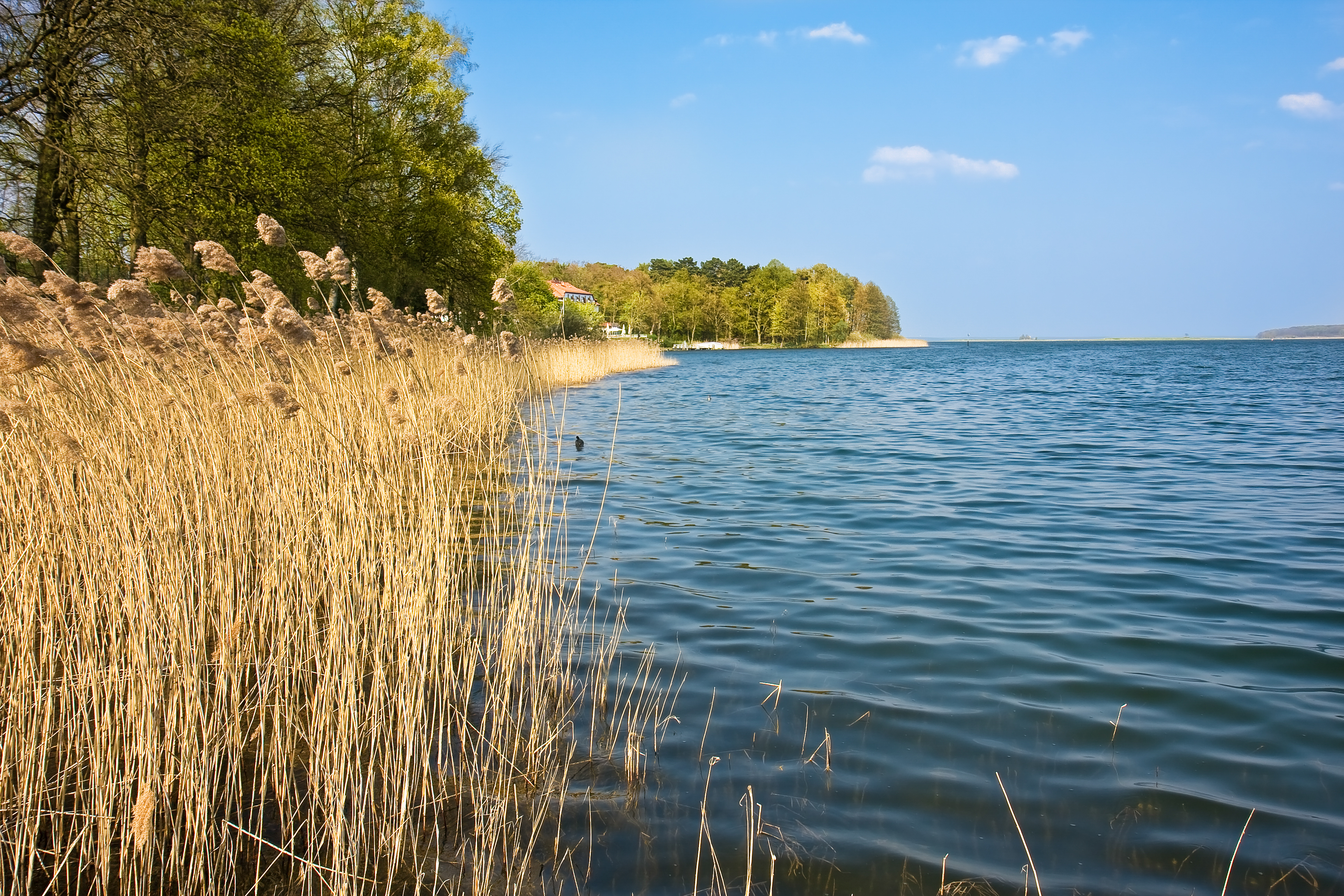 Ausflugsziel von Rostock aus - Müritz