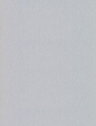 Metalized Brush 2047 Sample Image