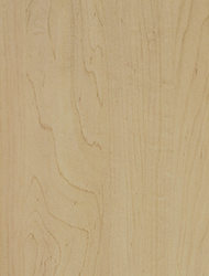 Hard Rock Maple 0791 SKU Image