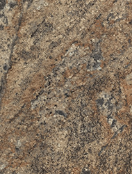 Lapidus 3110 Sample Image