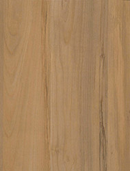 Organic Maple 1511 Sample Image