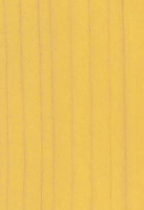 K996 Ash Classic E9.51.59T  Image