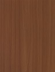 Beech 1750 SKU Image