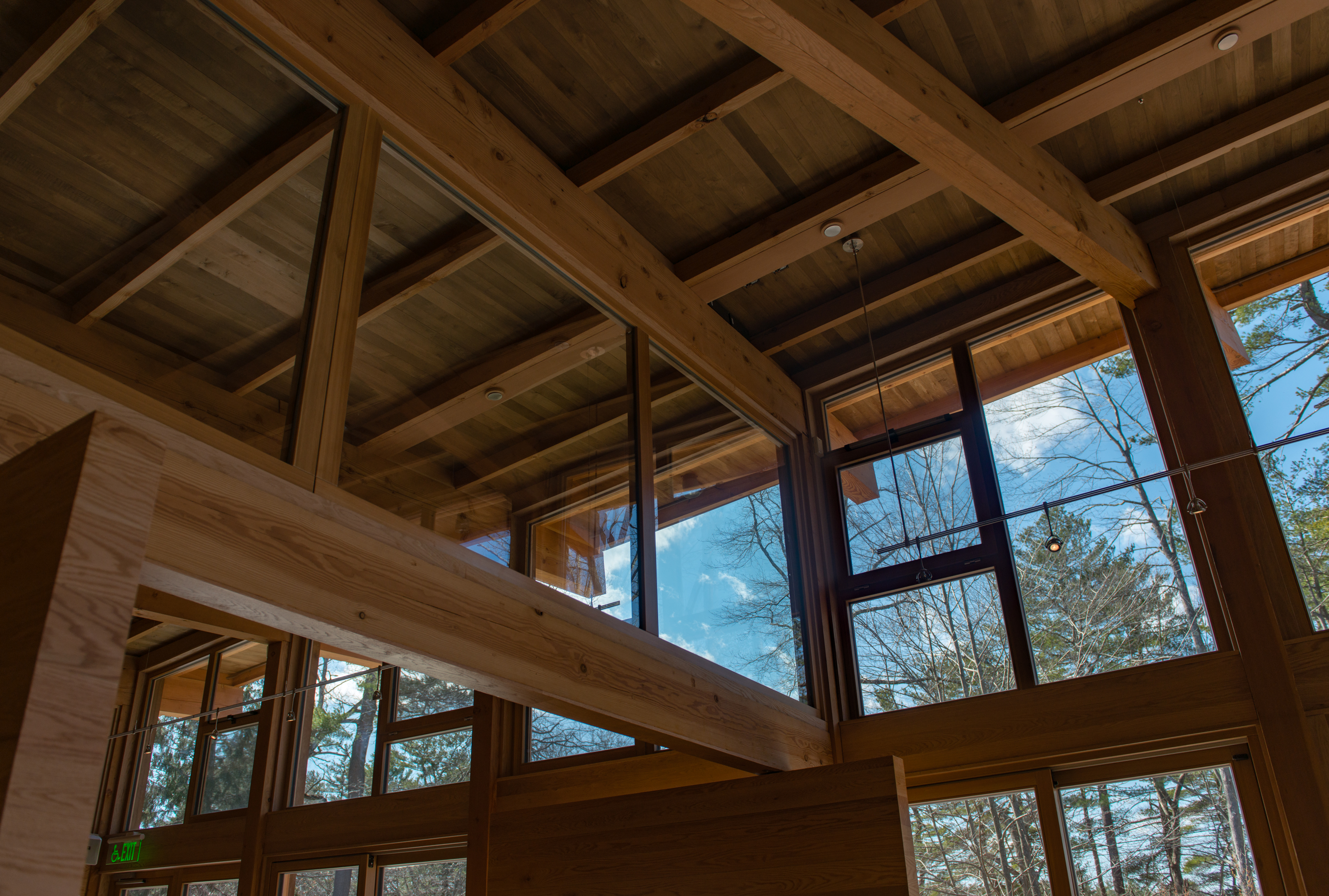 Bildau & Bussmann Example Image - Walden Pond 0326