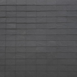 101 Parallel SKU Image