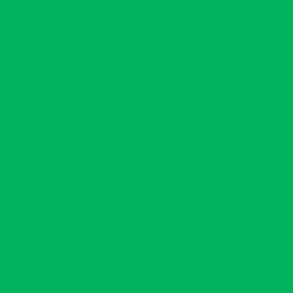 Citrus 2205 SKU Image