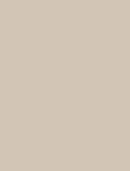 Latte 2167 SKU Image