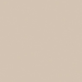 Latte 2167 SKU Image