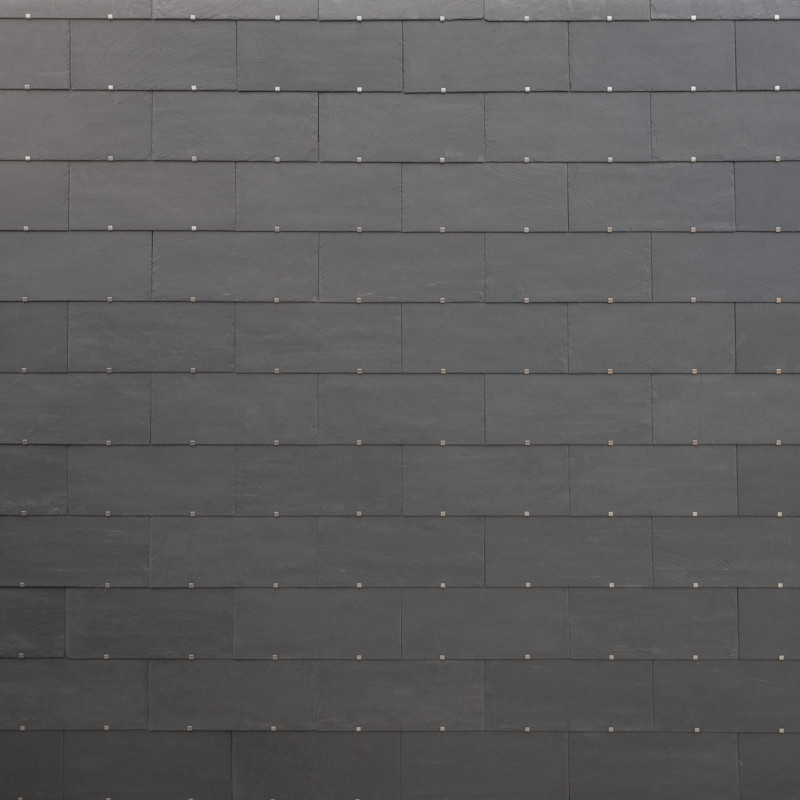 201 Vanguard Sample Image