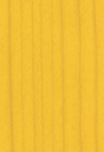 K077 Pine Classic F0.58.64T  Image